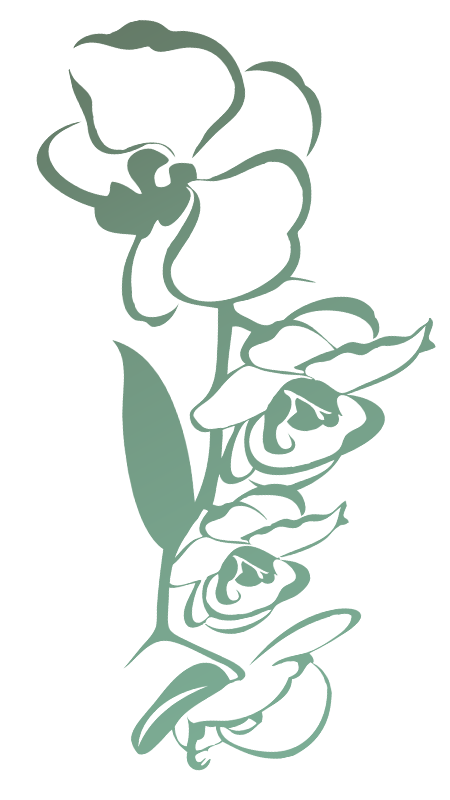 Institut-BEB-Branche-Rose